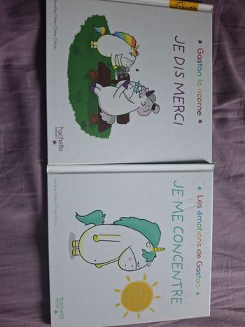 Lot de 2 livres "les émotions de Gaston"