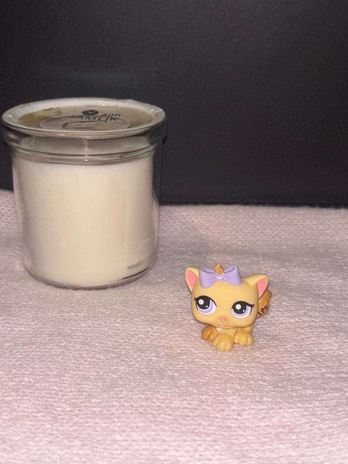 chat #1337 - photo numéro 2