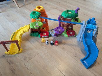 Jungle tut tut animaux