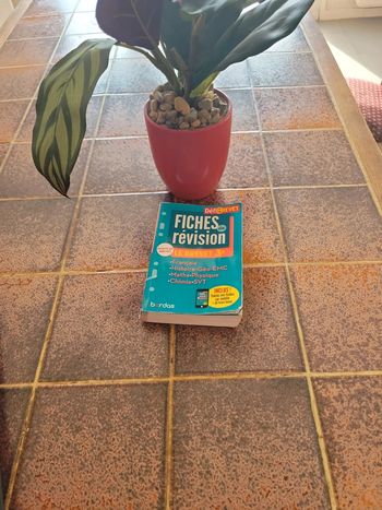 Fiches de révision le brevet 3 ème