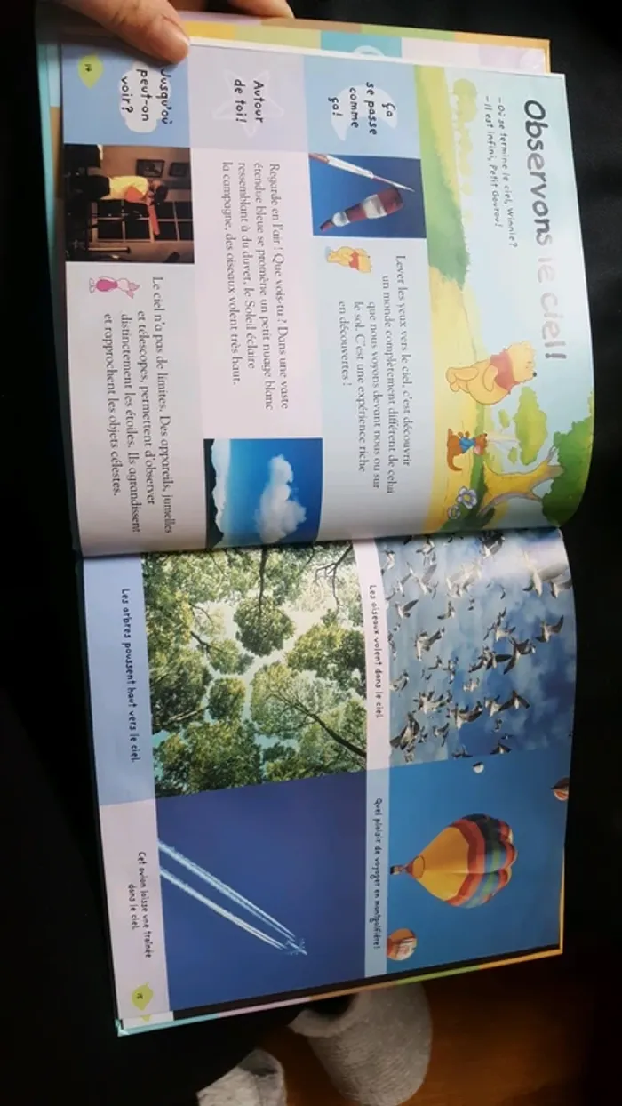 Livre la petite encyclopédies de winnie le ciel - photo numéro 3