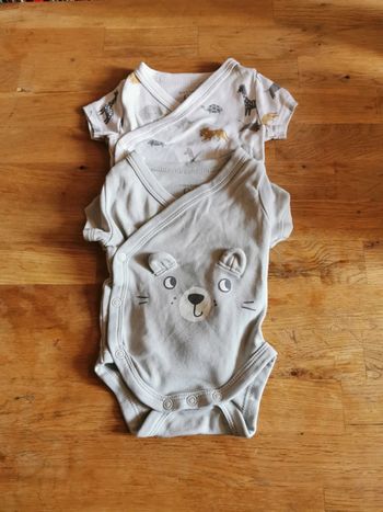 Lot 2 bodys manches courtes