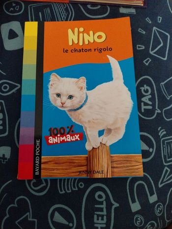 Nino le chaton  rigolo