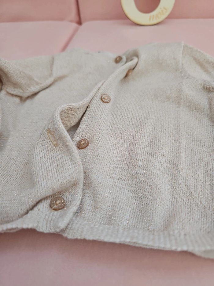 Gilet doré - photo numéro 3