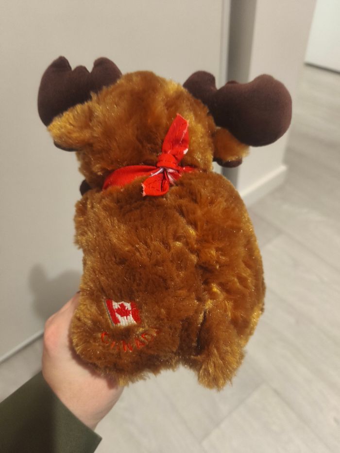 Renne / caribou canada - photo numéro 6