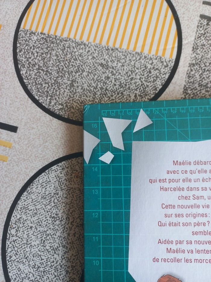 Bd Les tutos de Maélie tome 1 - photo numéro 3