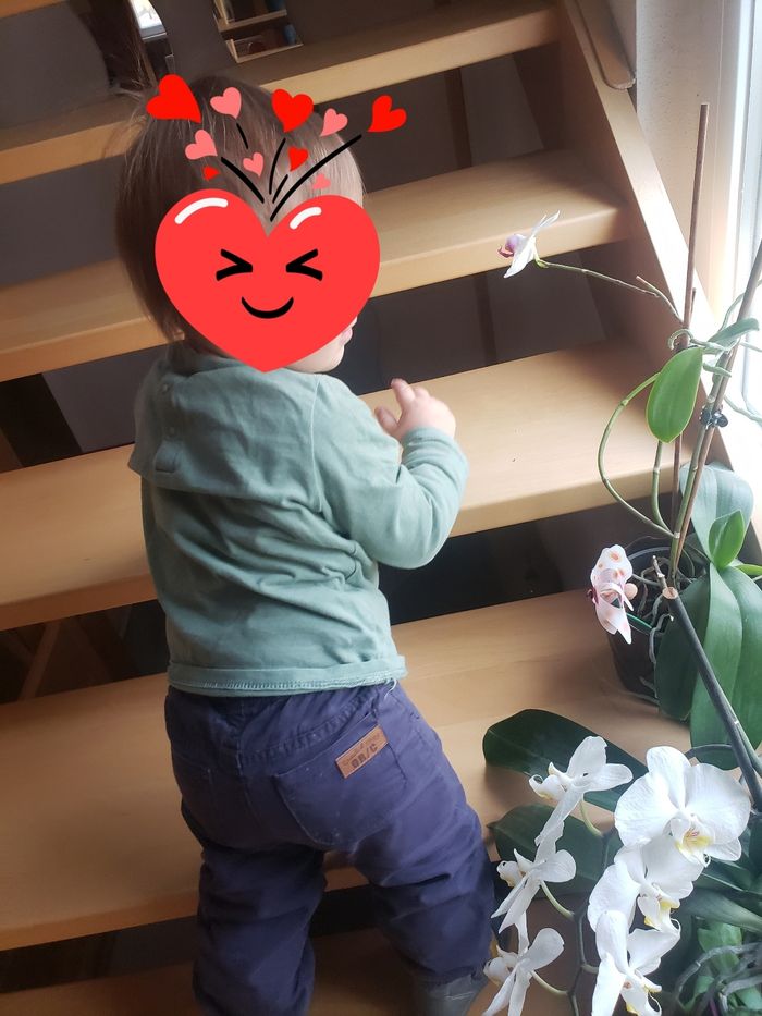 Pantalon en toile bleue doublé coton Orchestra 18 mois - photo numéro 10