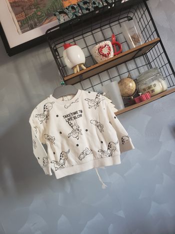 Pull 🎀 Disney 12 mois 3€