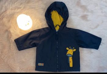 Coupe vent carters