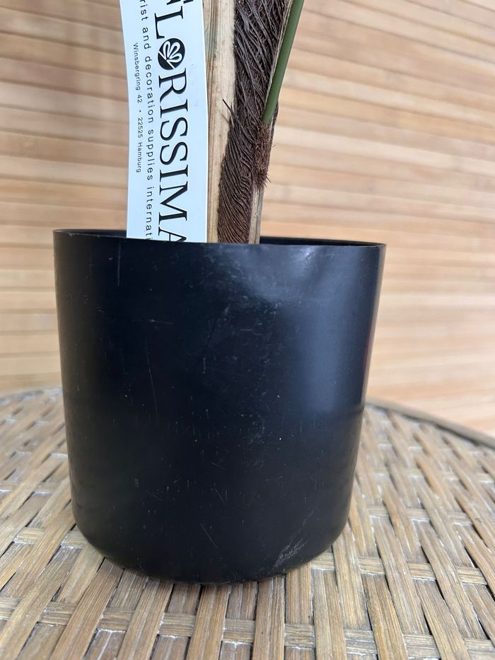 Palmier Areca 120cm en pot. Plante vertes artificielle avec tronc plutôt réaliste - photo numéro 6