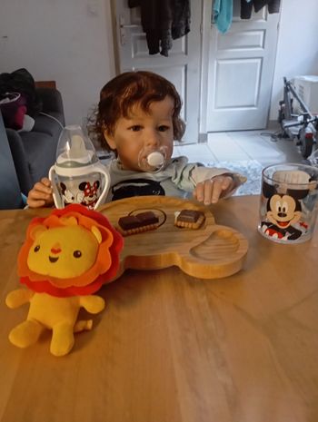 Bébé reborn Toddler