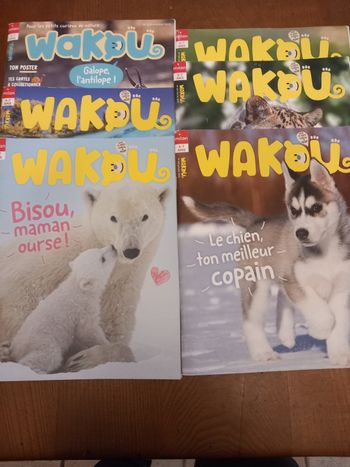 Lot 6 magazines Wakou