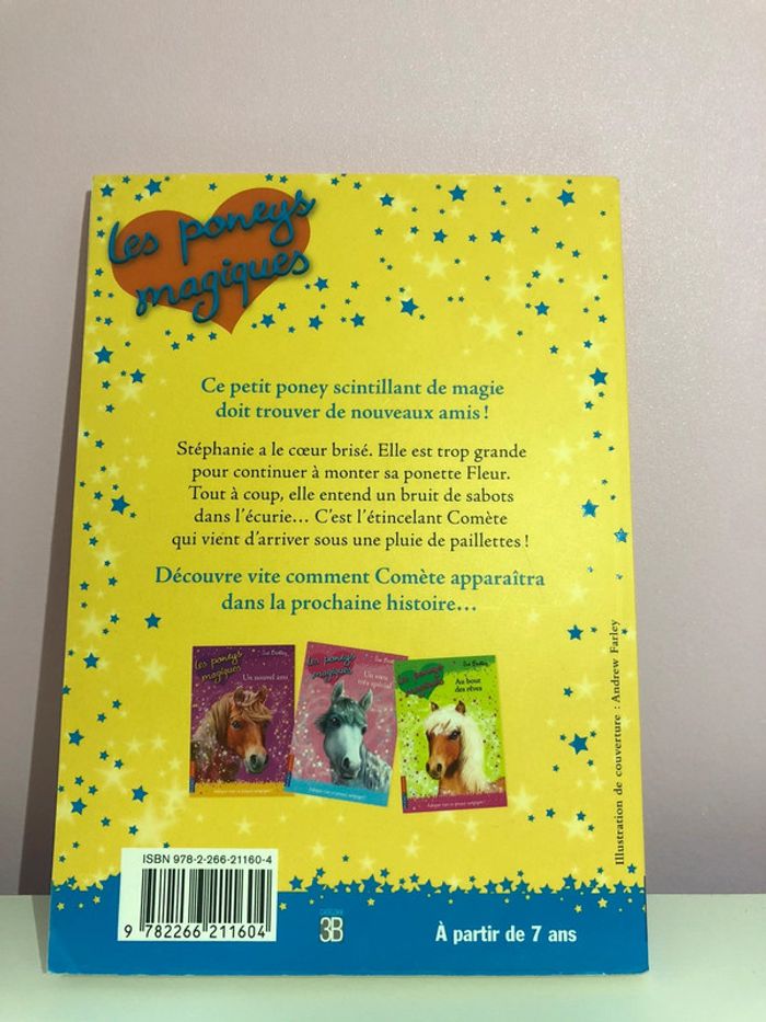Lot de livres collection Les poneys magiques (tomes 1, 2, 3, 4, 8) - photo numéro 10