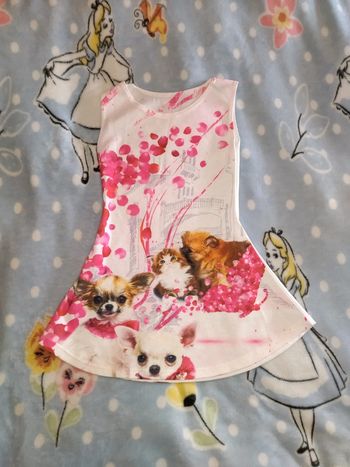 Robe chiens chats 4 ans