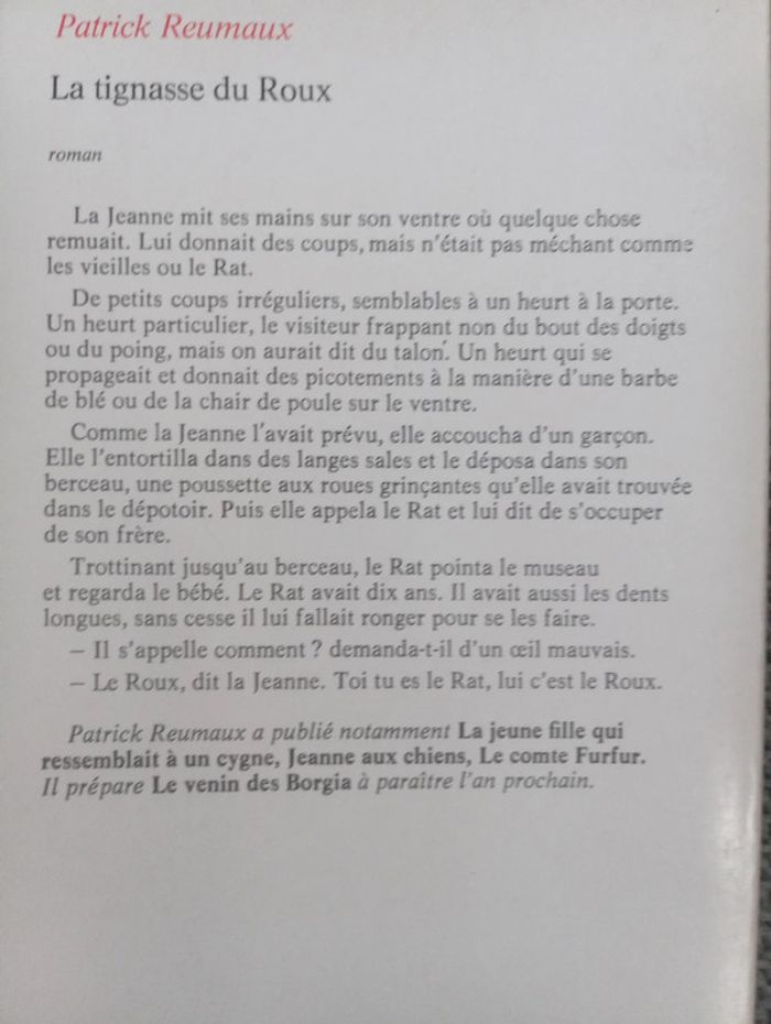 Patrick Reumaux - La tignasse du Roux - photo numéro 2