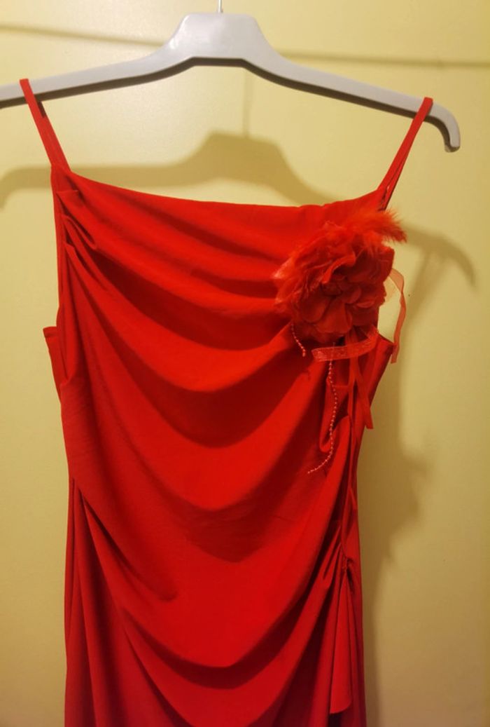 Robe rouge et sa broche - photo numéro 2