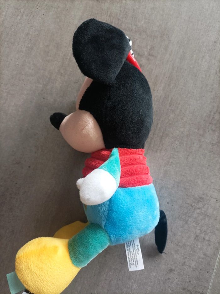 Mickey - photo numéro 2
