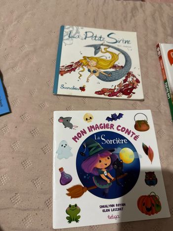 Lot deux livres pour enfant très bon état