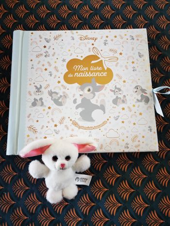 Livre naissance Disney