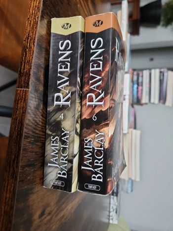 Lot de 2 livre Ravens