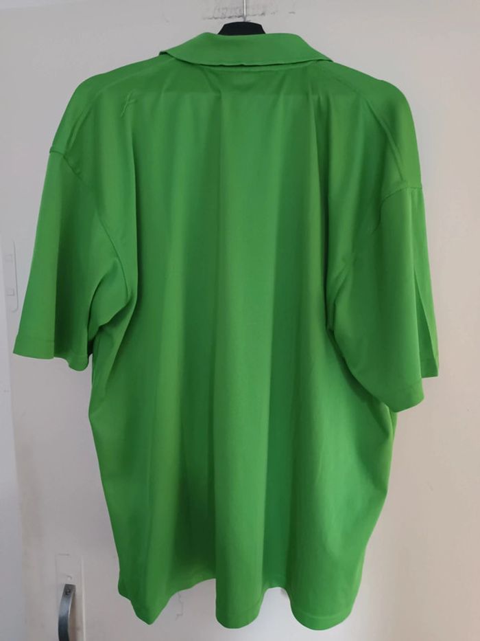 Polos mustaghata vert - photo numéro 2