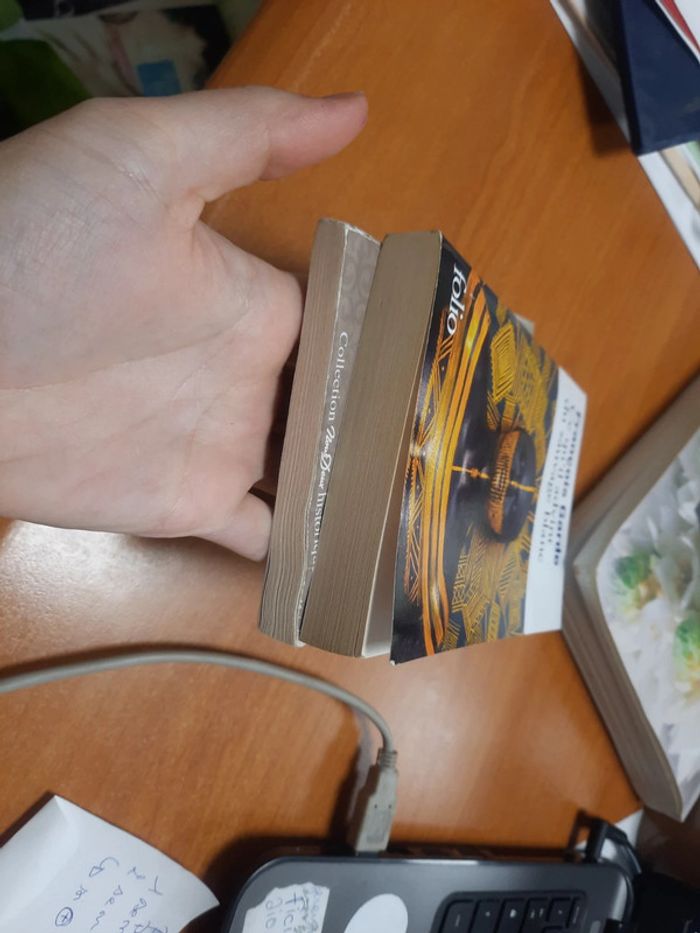 L'esclave Marie l'archer et sauvage blanc - photo numéro 5