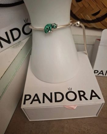 Charm Pascal de Disney 