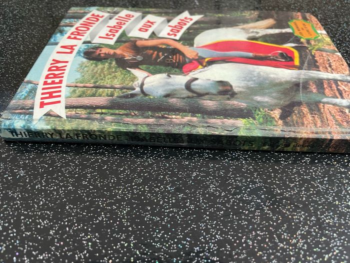 Thierry la Fronde - photo numéro 7