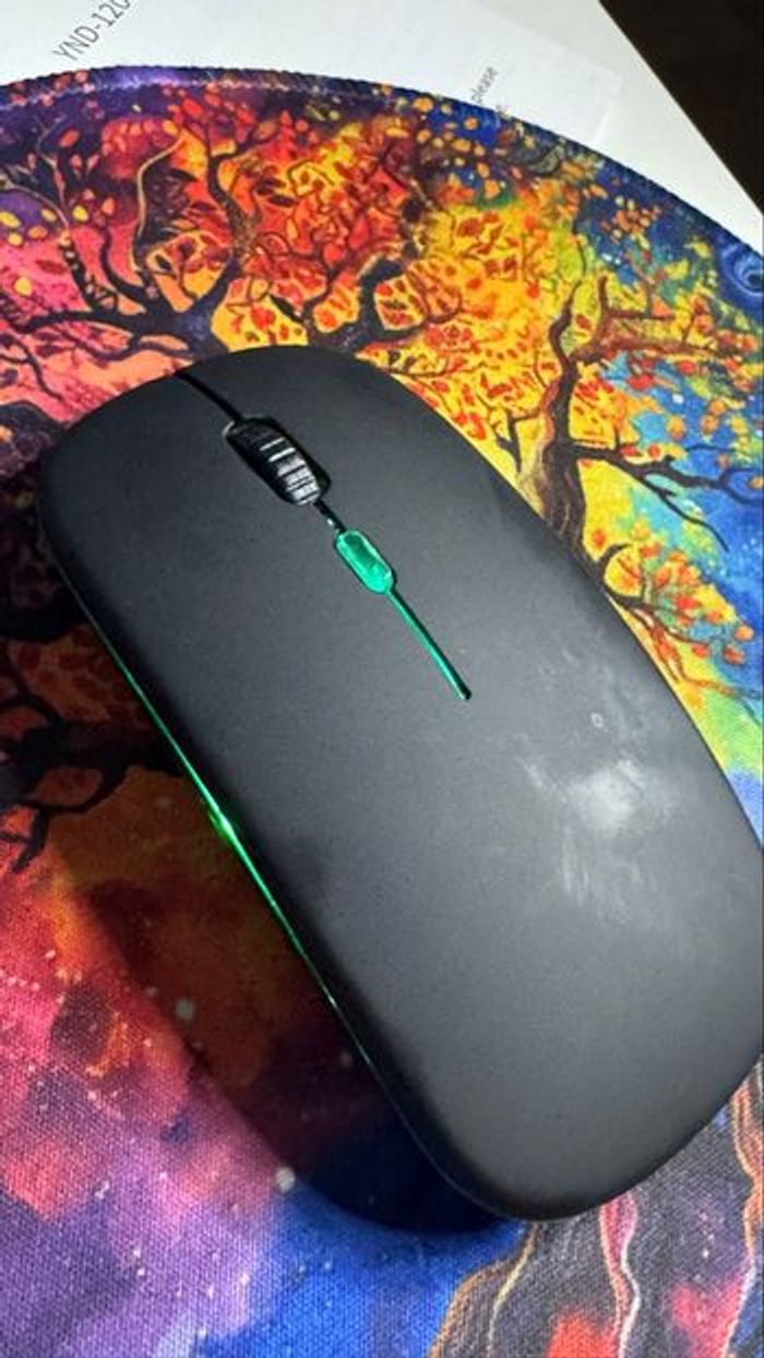 Souris BalanceFit totalement neuf, jamais utilisée. - photo numéro 2