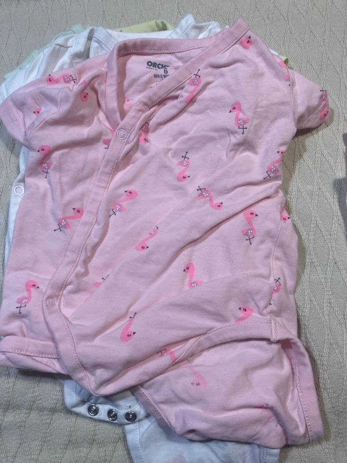 9 bodys  6 mois - photo numéro 3