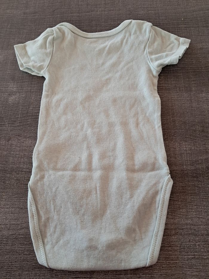 Bodie 12 mois - photo numéro 3