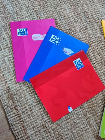Lot 3 cahier oxford