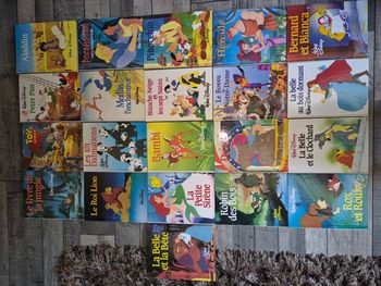 Lot de 21 livres Disney