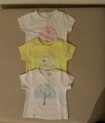 Lot de 3 tshirt