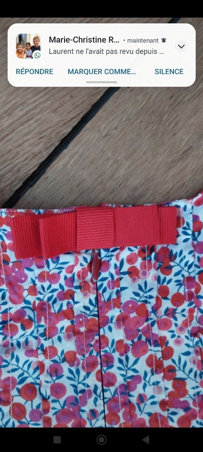 Jodhpur 10 ans liberty - photo numéro 4