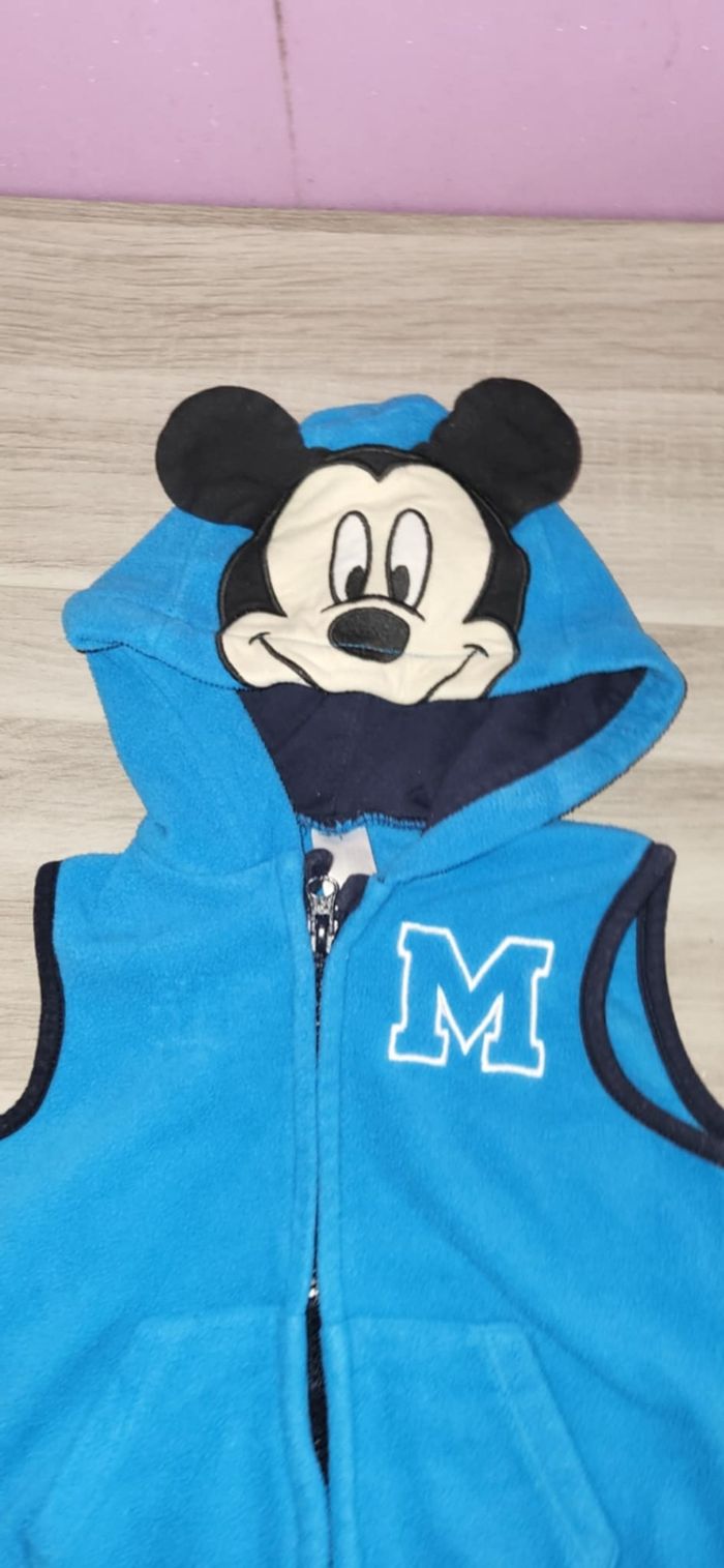 Gilets Disney 12 mois - photo numéro 3