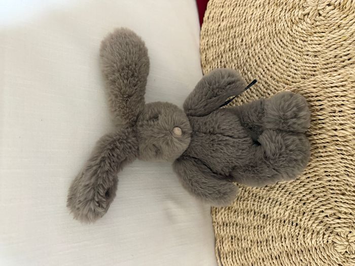 Petit Lapin gris Arthur et Louison - MOULIN ROTY