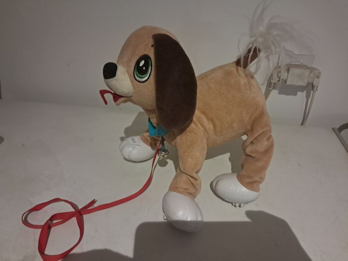 Chien - photo numéro 4