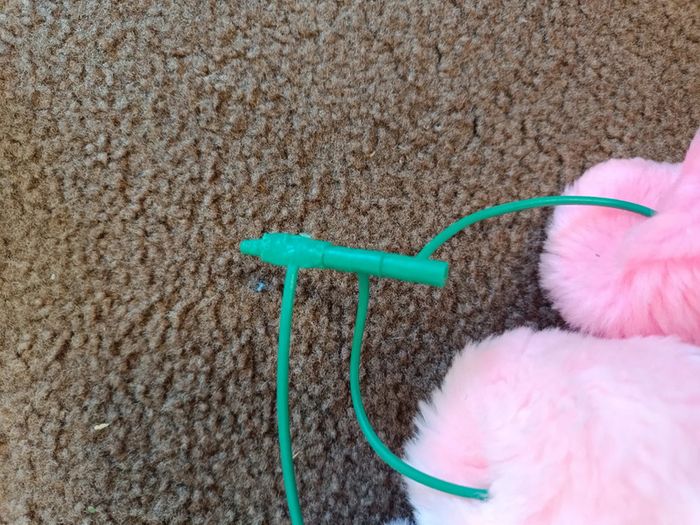 Lot cerisier fruiti Takara ajena - bien lire ne pas acheter - photo numéro 6