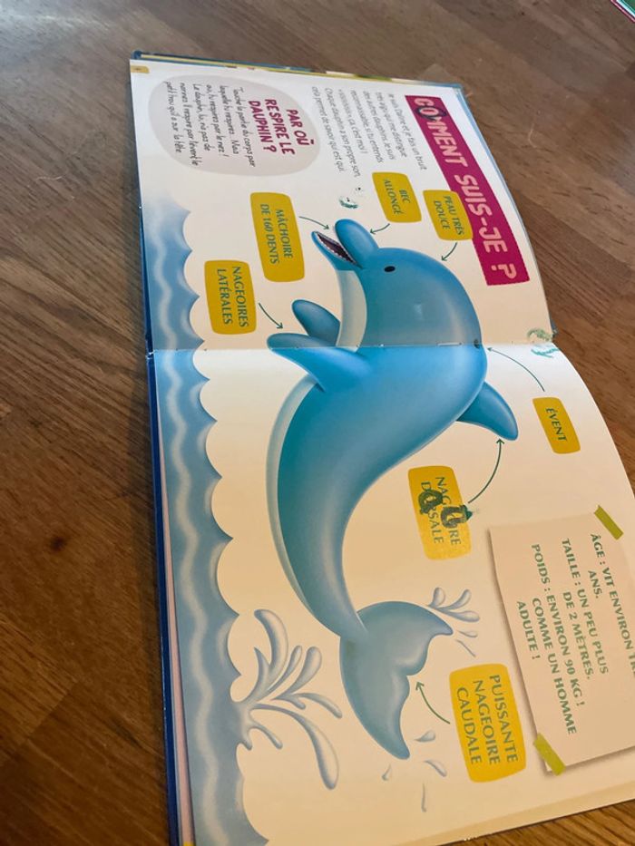 Livre collection Les animaux du zoo Daline le dauphin avec une figurine dauphin - photo numéro 13