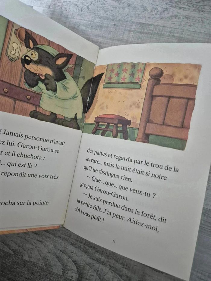 Livre - photo numéro 2
