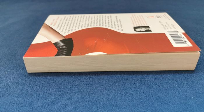 Fashion Victim - Lynn Messina - photo numéro 4