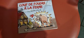 livre Coup de foudre à la ferme Gudule et Carali