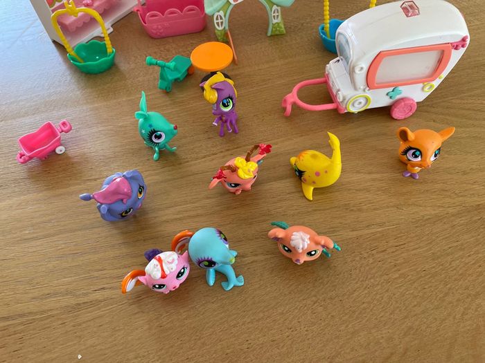 Lot pet shop - photo numéro 2