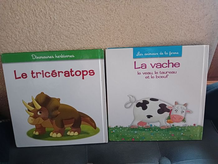 Lot livres enfant illustrés éducatifs Altaya - photo numéro 4