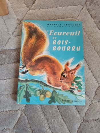 Livre L écureuil du bois bourru
