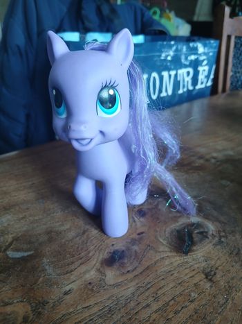Petit poney 