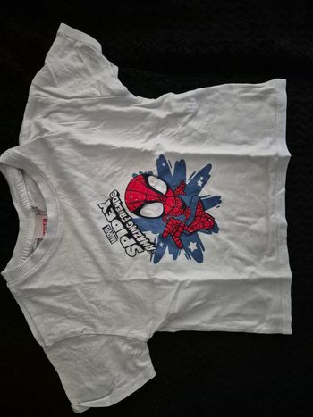 Tee-shirt spidey 