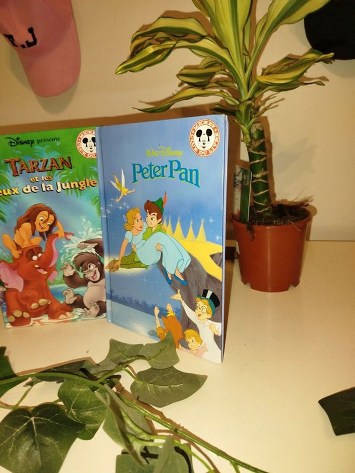 Deux livres Disney - photo numéro 2