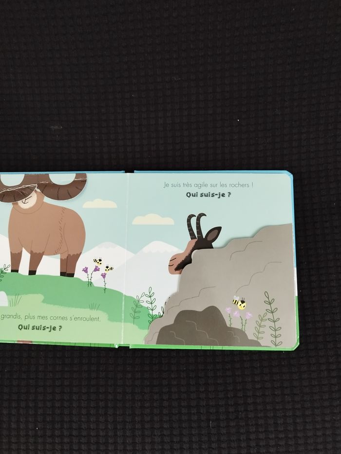 Livre cartonné Qui suis-je ? - photo numéro 2